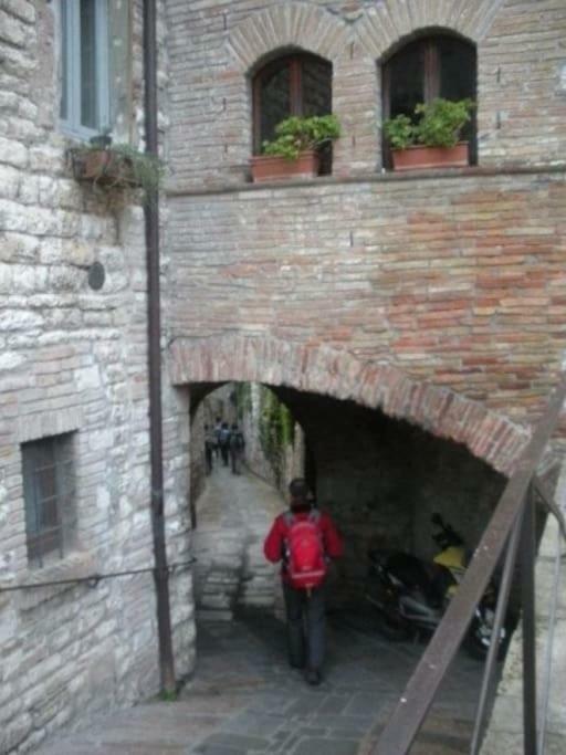 Gino's House *
